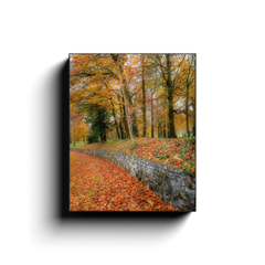 Canvas Wrap - Autumn Colours in Killimer, County Clare - James A. Truett - Moods of Ireland - Irish Art