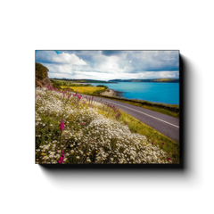 Canvas Wrap - Field of blooms along Shannon Estuary, County Clare - James A. Truett - Moods of Ireland - Irish Art