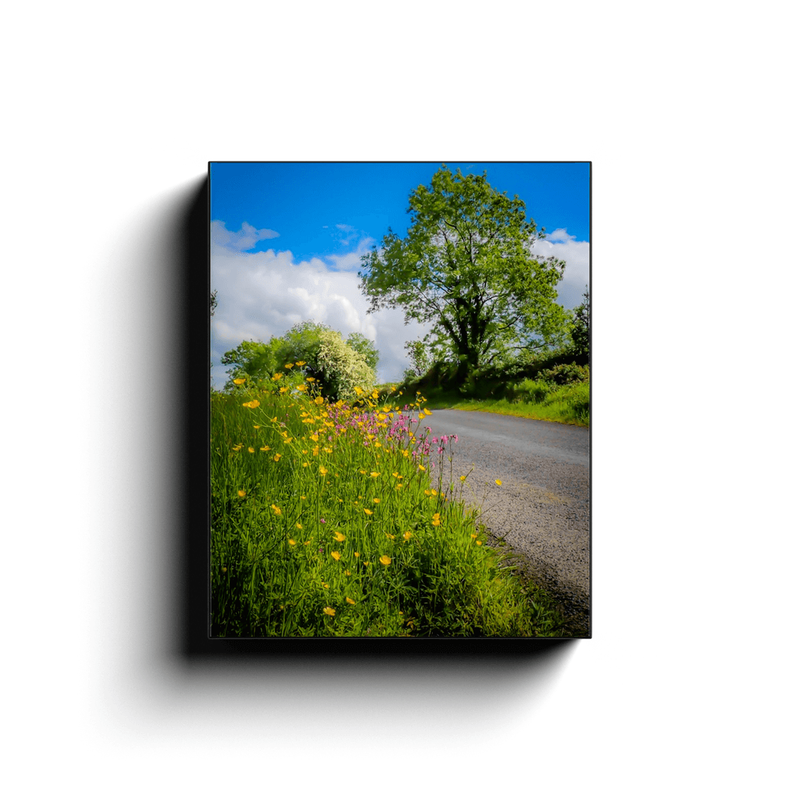 Canvas Wrap - Wildflowers of Liscormick, County Clare - James A. Truett - Moods of Ireland - Irish Art