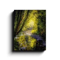 Canvas Wrap - Sunrays through Canopy over Owenslieve River, County Clare - James A. Truett - Moods of Ireland - Irish Art