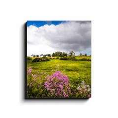 Canvas Wrap - Lissycasey Wildflowers, County Clare, Ireland - James A. Truett - Moods of Ireland - Irish Art