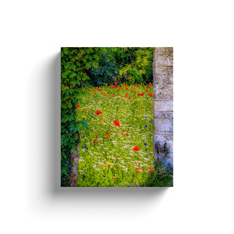 Canvas Wrap - Magical Irish Wildflower Meadow in County Clare - James A. Truett - Moods of Ireland - Irish Art