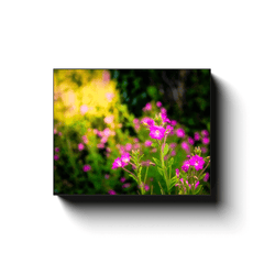 Canvas Wrap - Portrait of Great Willowherb Wildflowers, County Clare - Moods of Ireland