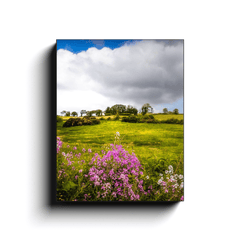 Canvas Wrap - Lissycasey Wildflowers, County Clare, Ireland - James A. Truett - Moods of Ireland - Irish Art