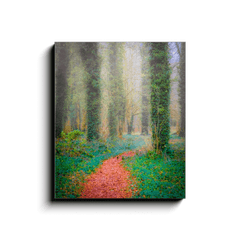 Canvas Wrap - Misty Path in Coole Park, County Galway - James A. Truett - Moods of Ireland - Irish Art