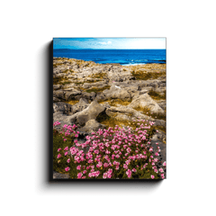 Canvas Wrap - Sea Pinks Blooming in the Burren Limestone, County Clare - James A. Truett - Moods of Ireland - Irish Art