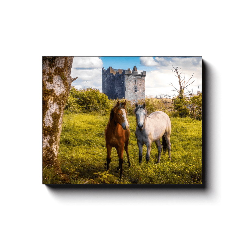 Canvas Wrap - Horses at Ballynagowan Castle, County Clare - James A. Truett - Moods of Ireland - Irish Art