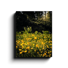 Canvas Wrap - Merry Meadow of Buttercups, County Clare - James A. Truett - Moods of Ireland - Irish Art