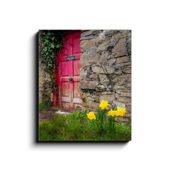 Canvas Wrap - Daffodils Outside Irish Cottage, Kilrush, County Clare - James A. Truett - Moods of Ireland - Irish Art