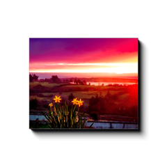 Canvas Wrap - Daffodil Sunrise in Crovraghan, County Clare, Ireland - James A. Truett - Moods of Ireland - Irish Art