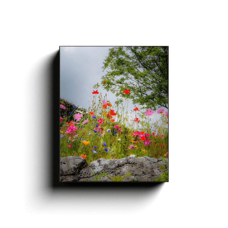 Canvas Wrap - Wildflowers in Limestone Bed, County Clare - James A. Truett - Moods of Ireland - Irish Art