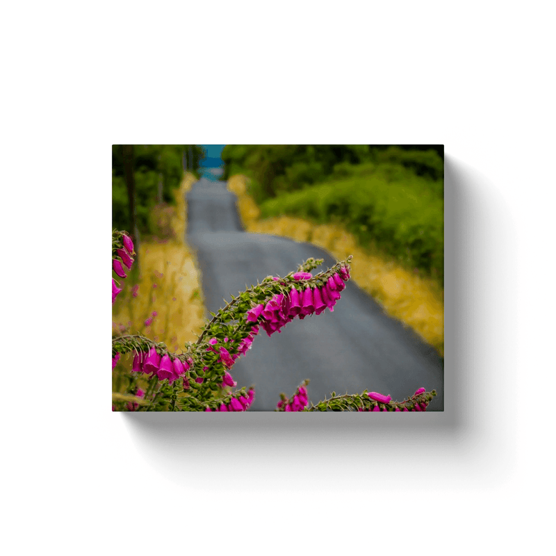 Canvas Wrap - Fairy Thimbles on the Road to Lissycasey, County Clare - James A. Truett - Moods of Ireland - Irish Art