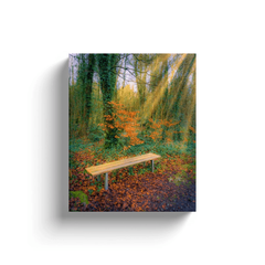 Canvas Wrap - Bench at Dromore Wood in Autumn, County Clare - James A. Truett - Moods of Ireland - Irish Art