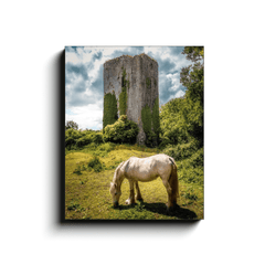 Canvas Wrap - Ballygriffy Castle, County Clare - James A. Truett - Moods of Ireland - Irish Art