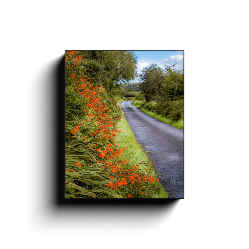 Canvas Wrap - Orange Wildflower Cascade along Irish Country Road - James A. Truett - Moods of Ireland - Irish Art