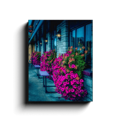 Canvas Wrap - Flower Boxes at Cobbler's Rest, Bodyke, County Clare - Moods of Ireland