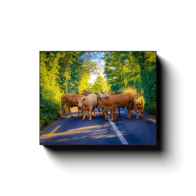 Canvas Wrap - Irish Road Block, County Clare - James A. Truett - Moods of Ireland - Irish Art