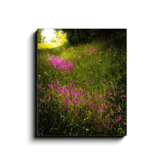 Canvas Wrap - Roadside Wildflowers in County Clare, Ireland - James A. Truett - Moods of Ireland - Irish Art