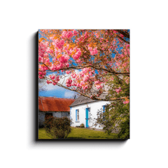 Canvas Wrap - Cherry Blossoms and Irish Cottage, County Clare - James A. Truett - Moods of Ireland - Irish Art