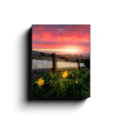 Canvas Wrap - Daffodils and Spring Sunrise, County Clare, Ireland - James A. Truett - Moods of Ireland - Irish Art
