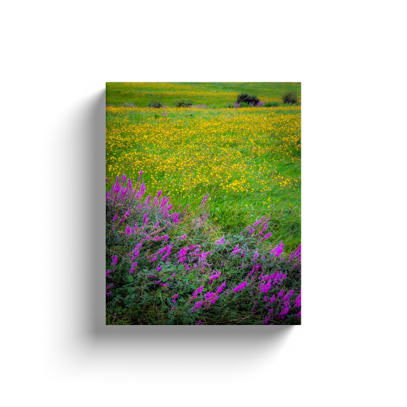 Canvas Wrap - Irish Countryside Summer Wildflower Meadow - James A. Truett - Moods of Ireland - Irish Art