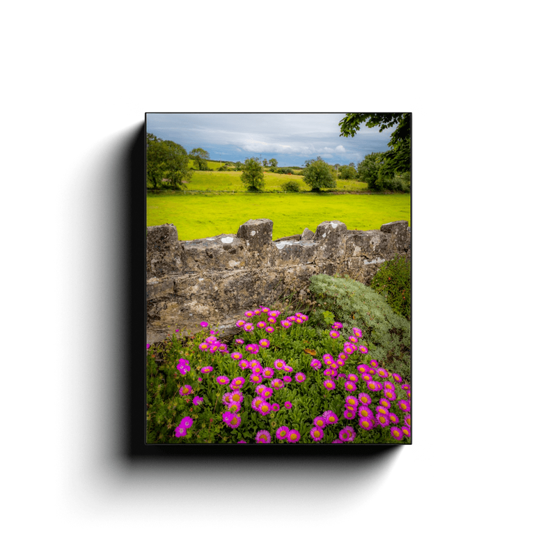 Canvas Wrap - Flowers and Meadow, Kildysart, County Clare - James A. Truett - Moods of Ireland - Irish Art