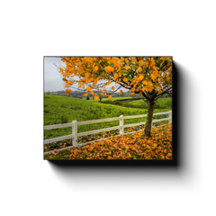 Canvas Wrap - Autumn in the Irish Countryside, County Clare Canvas Wrap Moods of Ireland 8x10 inch 