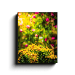 Canvas Wrap - Irish Wildflowers of Liscormick, County Clare - Moods of Ireland