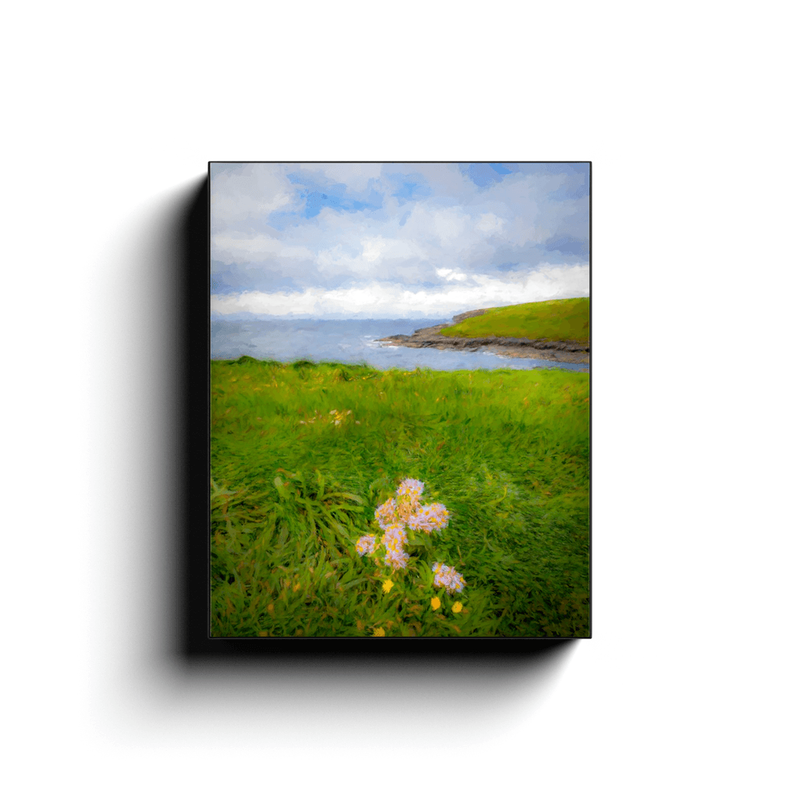 Canvas Wrap -Last Flower of Summer, Kilkee, County Clare Canvas Wrap Moods of Ireland 8x10 inch 