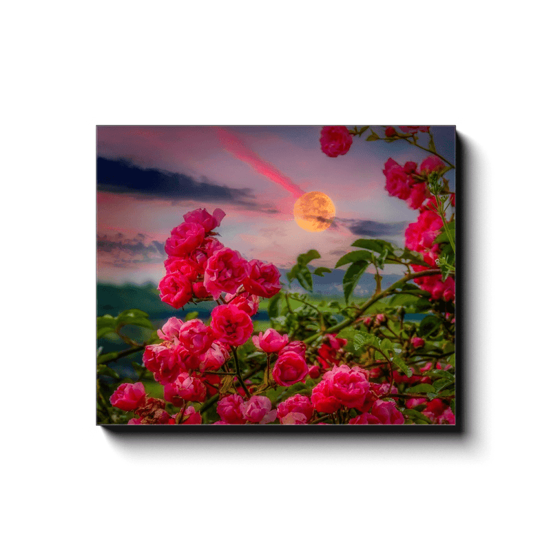 Canvas Wrap - Wild Irish Roses at Dawn, County Clare - James A. Truett - Moods of Ireland - Irish Art