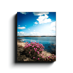 Canvas Wrap - Sea Pinks along Ireland's Shannon Estuary - James A. Truett - Moods of Ireland - Irish Art