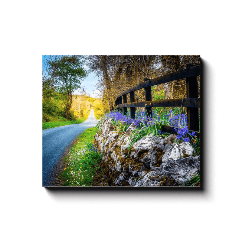 Canvas Wrap - Bluebell-lined County Clare Road - James A. Truett - Moods of Ireland - Irish Art