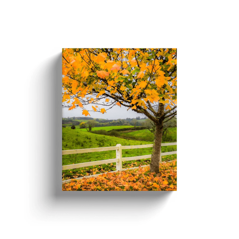 Canvas Wrap - Autumn Leaves in Ballynacally, County Clare - James A. Truett - Moods of Ireland - Irish Art