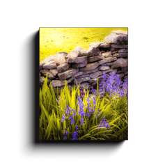 Canvas Wrap - Spring Bluebells and Stone Fence, County Clare - James A. Truett - Moods of Ireland - Irish Art