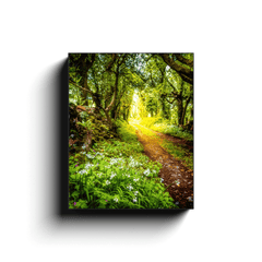 Canvas Wrap - County Clare path lined with Wild Garlic and Wildflowers - James A. Truett - Moods of Ireland - Irish Art