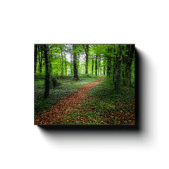 Canvas Wrap - Trail in Coole Park, County Galway - James A. Truett - Moods of Ireland - Irish Art