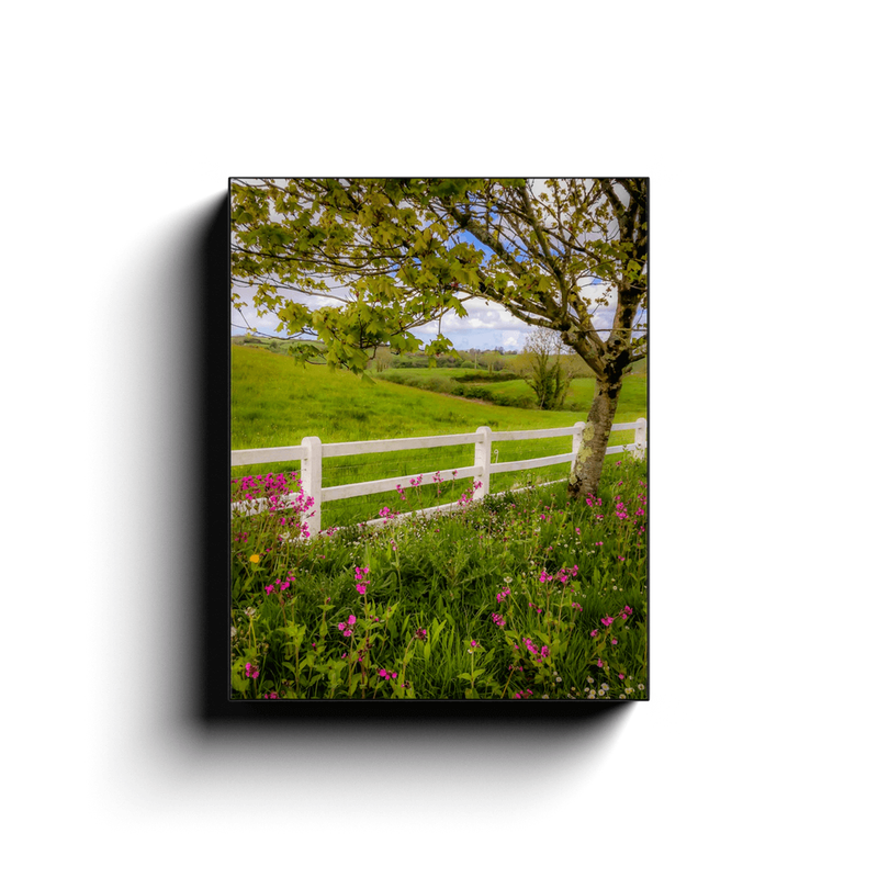 Canvas Wrap - Ballynacally Wildflower Vista - James A. Truett - Moods of Ireland - Irish Art