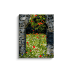 Canvas Wrap - Portal to Secret Irish Wildflower Garden, County Clare - James A. Truett - Moods of Ireland - Irish Art