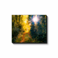 Canvas Wrap - Woodland Path through Paradise, County Clare, Ireland - James A. Truett - Moods of Ireland - Irish Art