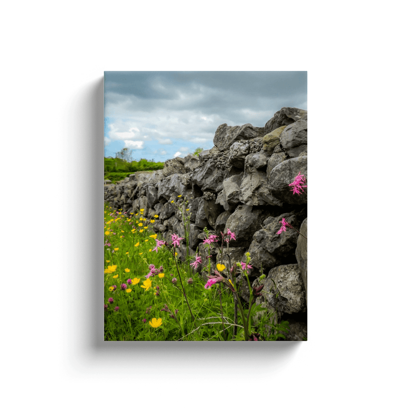 Canvas Wrap - Kildysart Buttercups & Ragged Robin against Stone Wall, County Clare - James A. Truett - Moods of Ireland - Irish Art