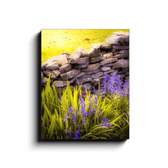 Canvas Wrap - Spring Bluebells and Stone Fence, County Clare - James A. Truett - Moods of Ireland - Irish Art