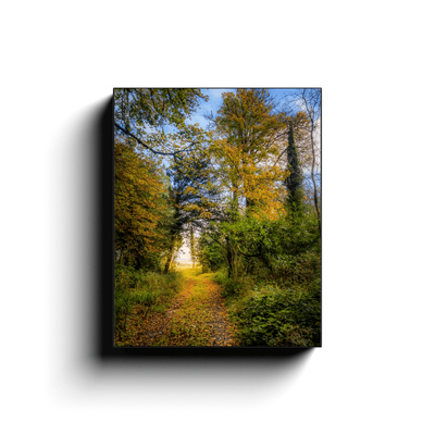 Canvas Wrap - Autumn Path to Paradise, County Clare - James A. Truett - Moods of Ireland - Irish Art