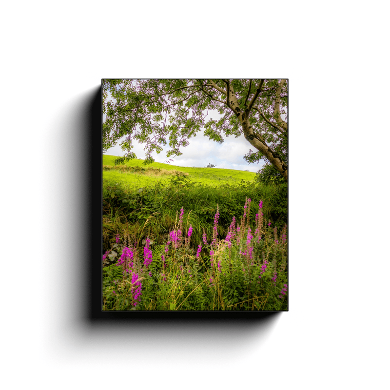 Canvas Wrap - Timeless Serenity in the Irish Countryside - James A. Truett - Moods of Ireland - Irish Art