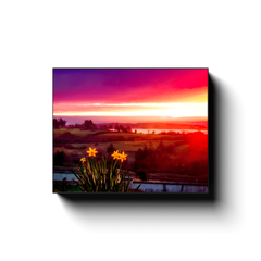 Canvas Wrap - Daffodil Sunrise in Crovraghan, County Clare, Ireland - James A. Truett - Moods of Ireland - Irish Art