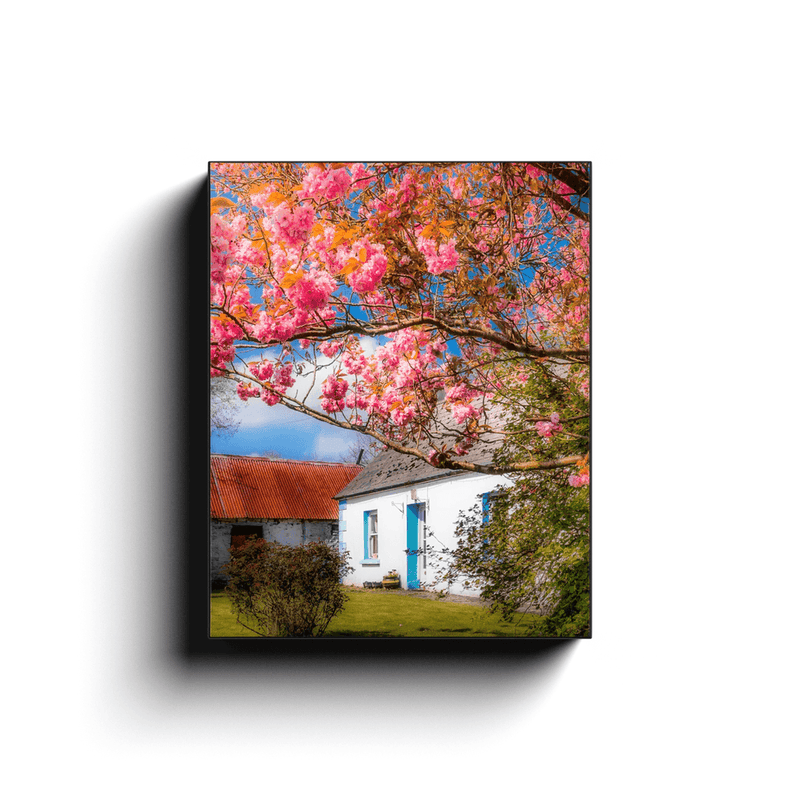 Canvas Wrap - Cherry Blossoms and Irish Cottage, County Clare - James A. Truett - Moods of Ireland - Irish Art