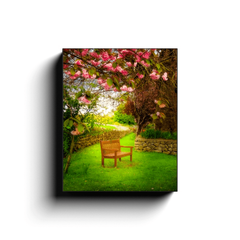 Canvas Wrap - Bench under Cherry Blossoms, Quin, County Clare - James A. Truett - Moods of Ireland - Irish Art