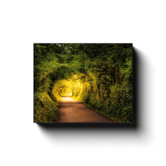 Canvas Wrap - Green Tunnel in Lavalla, County Clare - James A. Truett - Moods of Ireland - Irish Art