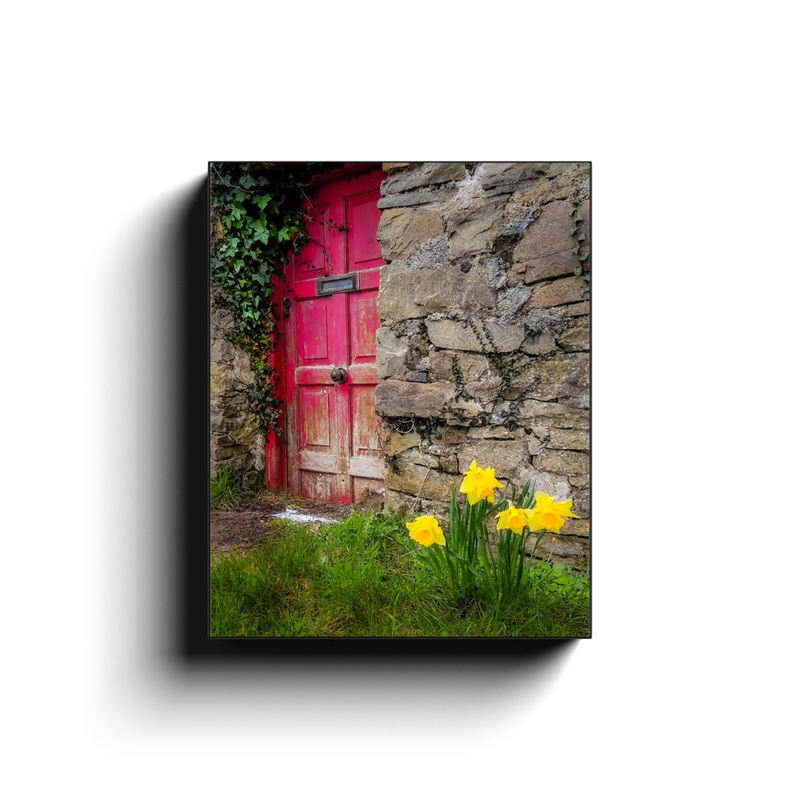 Canvas Wrap - Daffodils Outside Irish Cottage, Kilrush, County Clare - James A. Truett - Moods of Ireland - Irish Art