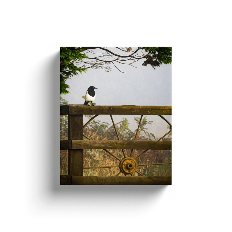 Canvas Wrap - Magpie in the Irish Mist, County Clare - James A. Truett - Moods of Ireland - Irish Art