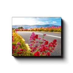 Canvas Wrap - Wild Valerian on the Roadside in County Clare - James A. Truett - Moods of Ireland - Irish Art